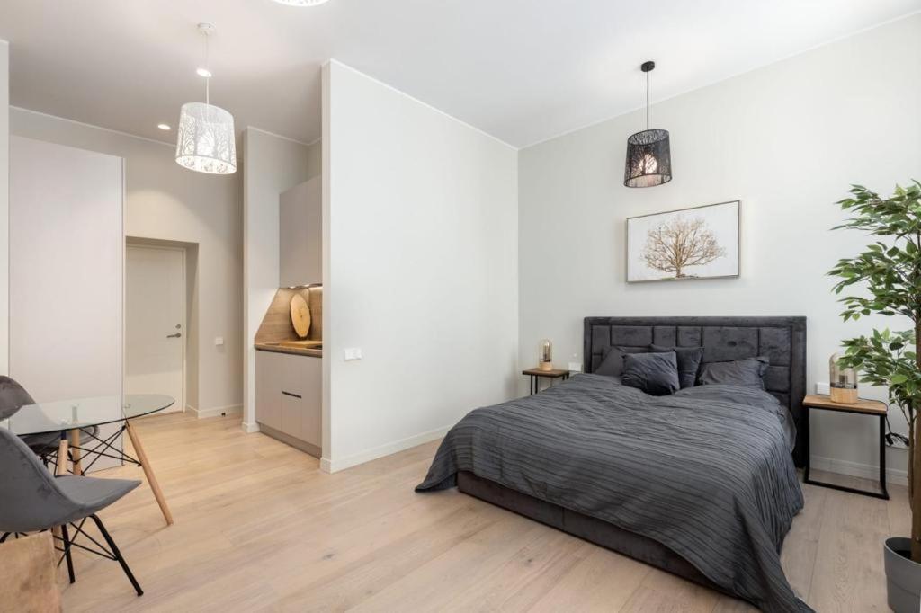 Kalnina Street Studio Apartment Riga Exterior photo