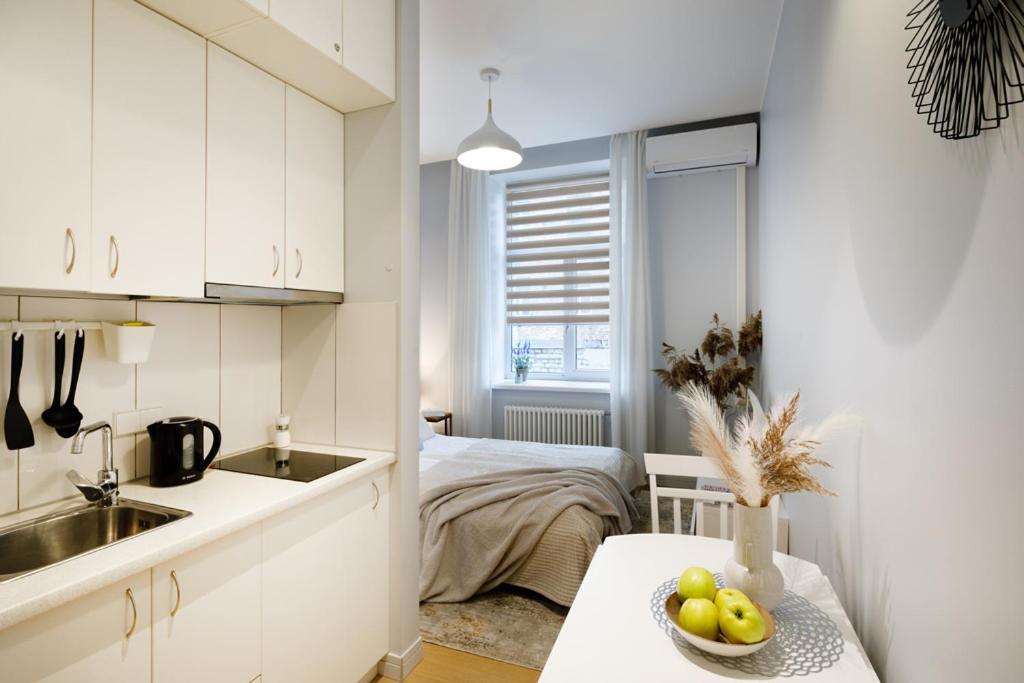Kalnina Street Studio Apartment Riga Exterior photo