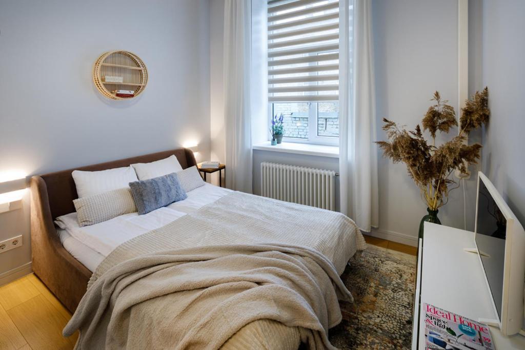 Kalnina Street Studio Apartment Riga Exterior photo