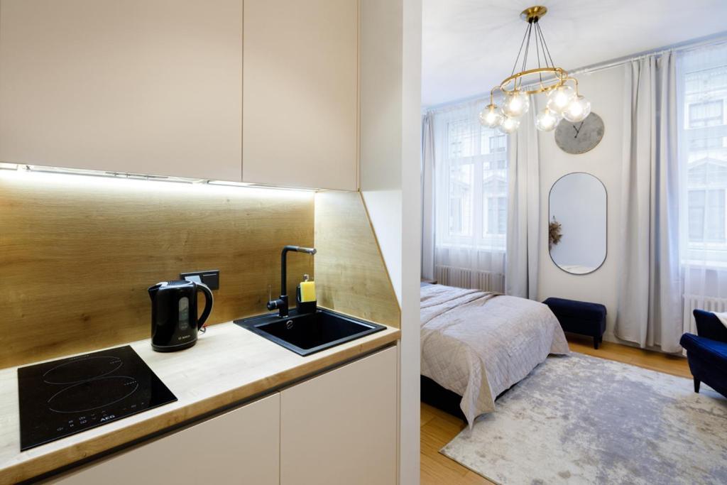 Kalnina Street Studio Apartment Riga Exterior photo